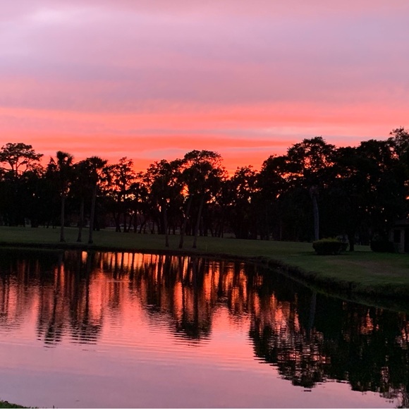 Meet your Posher, Annie! - Picture 6 of 9